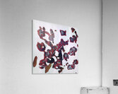 2587 8K Acrylic Print