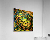 2616 8K Acrylic Print