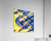 2640 8K Acrylic Print