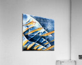 2619 8K Acrylic Print