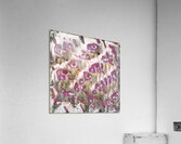 2639 8K Acrylic Print