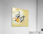 2614 8K Acrylic Print