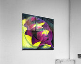 2636 8K Acrylic Print