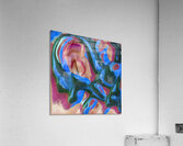 2617 8K Acrylic Print