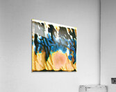 2604 8K Acrylic Print