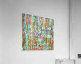 2637 8K Acrylic Print