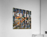 2611 8K Acrylic Print