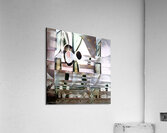 2674 8K Acrylic Print