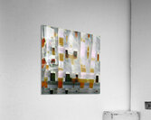 2680 8K Acrylic Print