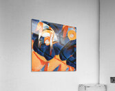 2668 8K Acrylic Print