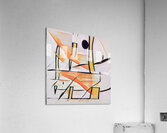 2648 8K Acrylic Print