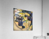 2690 8K Acrylic Print