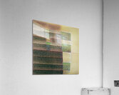 2693 8K Acrylic Print