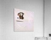 2716 8K Acrylic Print