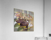 2696 8K Acrylic Print