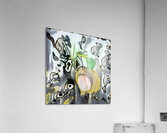 2709 8K Acrylic Print