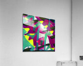 2697 8K Acrylic Print