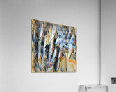 2695 8K Acrylic Print