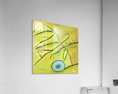 2720 8K Acrylic Print