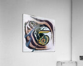 2685 8K Acrylic Print