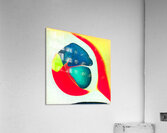 2682 8K Acrylic Print