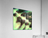 2715 8K Acrylic Print