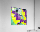 2757 8K Acrylic Print