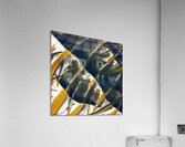 2749 8K Acrylic Print