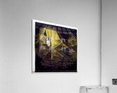 2739 8K Acrylic Print