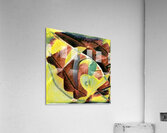 2740 8K Acrylic Print