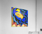 2753 8K Acrylic Print