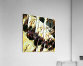 2773 8K Acrylic Print