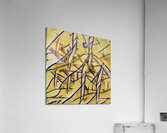 2787 8K Acrylic Print