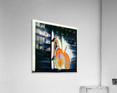 2775 8K Acrylic Print