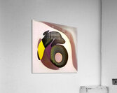 2764 8K Acrylic Print