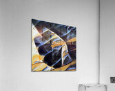 2776 8K Acrylic Print