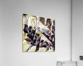 2806 8K Acrylic Print