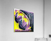 2816 8K Acrylic Print