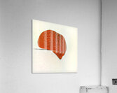 2820 8K Acrylic Print