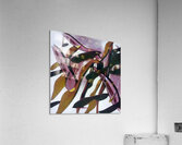 2821 8K Acrylic Print