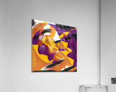 2838 8K Acrylic Print