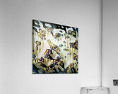 2827 8K Acrylic Print