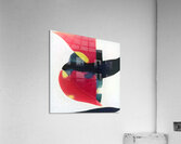 2842 8K Acrylic Print