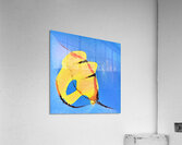 2871 8K Acrylic Print