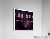 2864 8K Acrylic Print