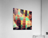 2869 8K Acrylic Print