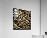 2866 8K Acrylic Print