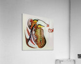 2875 8K Acrylic Print