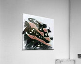 2865 8K Acrylic Print