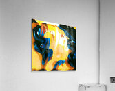 2867 8K Acrylic Print